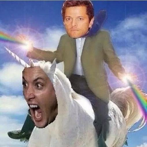 221BGeek's profile picture. I am a geek, love science fiction books that involve time travel or the future, I accept everyone, I'm a Huffleclaw, I love memes, and I am in a TON of fandoms.