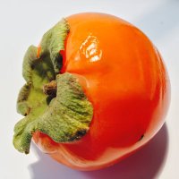 Persimmon Tree Investments(@PersimmonTI) 's Twitter Profile Photo