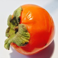 Persimmon Tree Investments (@persimmonti) 's Twitter Profile Photo Persimmon Tree Investments (@persimmonti) 's Twitter Profile Photo