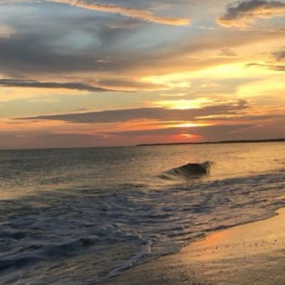 Adamburnsfla's profile picture. 