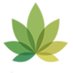 SWEEDZ (@sweedzco) Twitter profile photo SWEEDZ (@sweedzco) Twitter profile photo