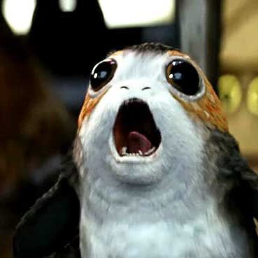 TuuOOO's profile picture. 