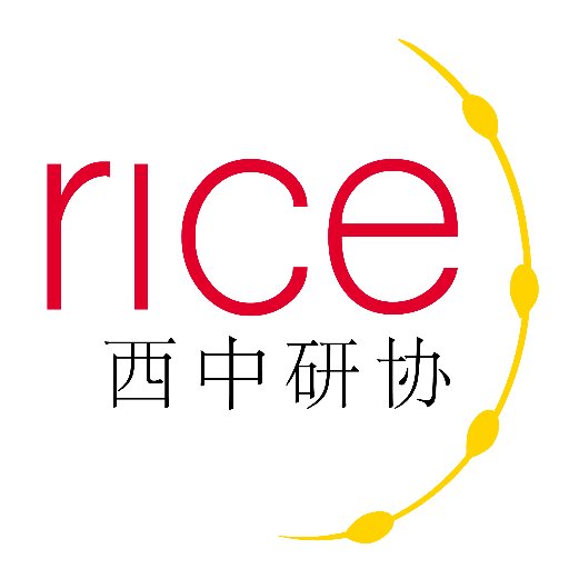 La Red de Investigadores China-España (RICE) se creó en 2016 para poner en contacto a investigadores y científicos españoles con presencia en China.