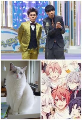 お笑い（特に吉本の若手芸人さんが好き）と猫とアニメと４８グールプさんと４６グールプさんとジャニーズさんが好きなので気軽にフォローお願いします