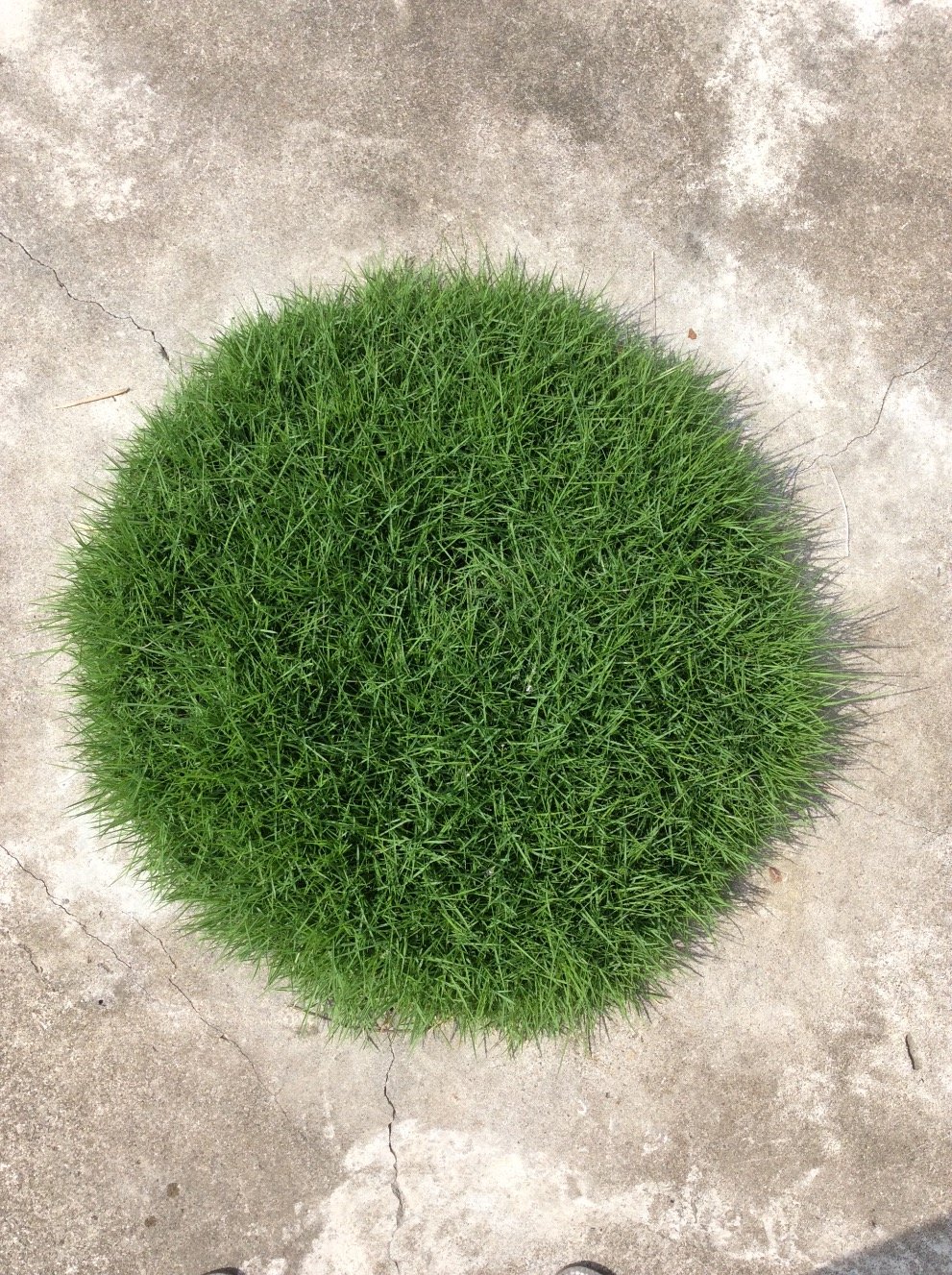 POZnobill's profile picture. 2010. UD. TLD