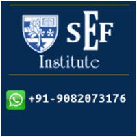 SEF Institute(@SEFInstitute) 's Twitter Profile Photo