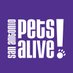 San Antonio Pets Alive! (@sapetsalive) Twitter profile photo San Antonio Pets Alive! (@sapetsalive) Twitter profile photo