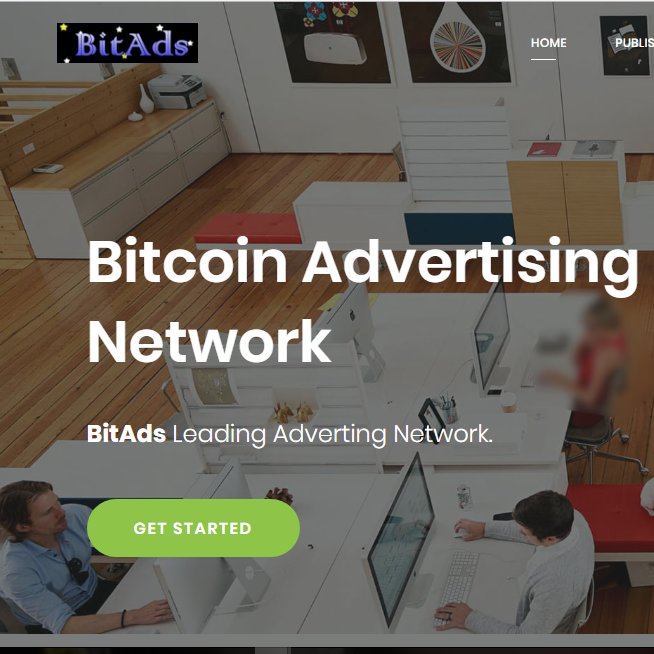 bitads1's profile picture. 