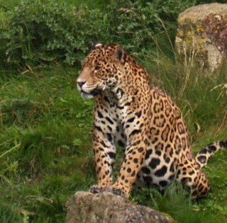 bromleylad's profile picture. just a human being