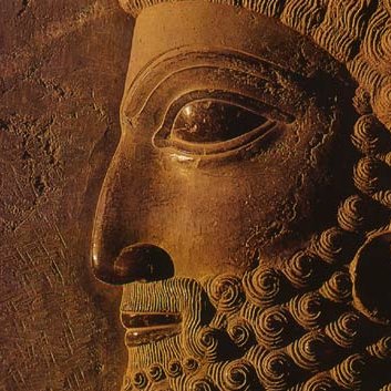 parad0xides's profile picture. ⭐️💙💙💙💙⭐️
https://t.co/PfJ91m7emk