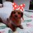 chinami_jintan