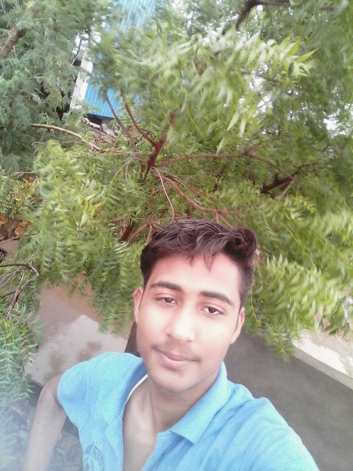 RohitJa99774997's profile picture. 