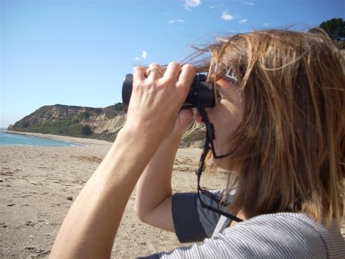 andrea_coombes's profile picture. 