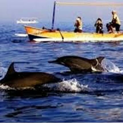 CProprty's profile picture. Developer dan Kontraktor