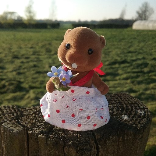 sylvaniantime's profile picture. I am a sylvanian lover, blogger  and collector. I love taking pictures of my sylvanians to share with the world! Enjoy:)