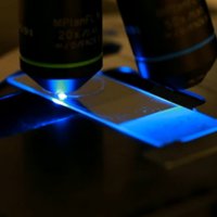 Clinical Microbiology, Trinity College Dublin (@clinmicrotcd) 's Twitter Profile Photo Clinical Microbiology, Trinity College Dublin (@clinmicrotcd) 's Twitter Profile Photo