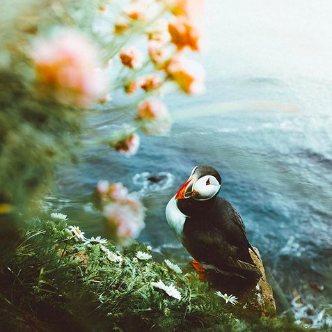 MarianneDey's profile picture. "Do not dream of influencing other people, .... think of things in themselves."  Virginia Woolf.
Photo by @joeleep