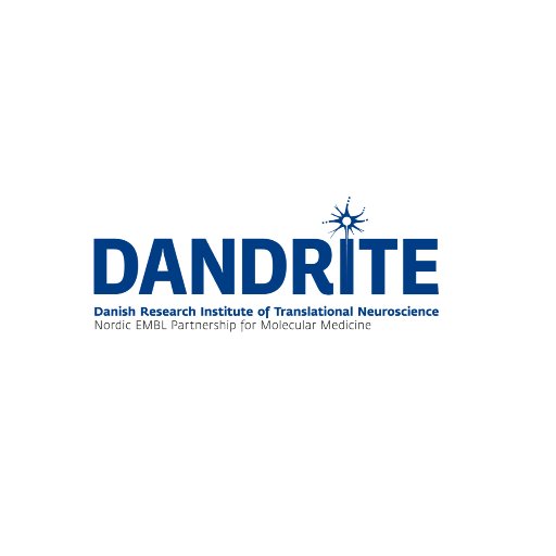 dandrite Profile Picture