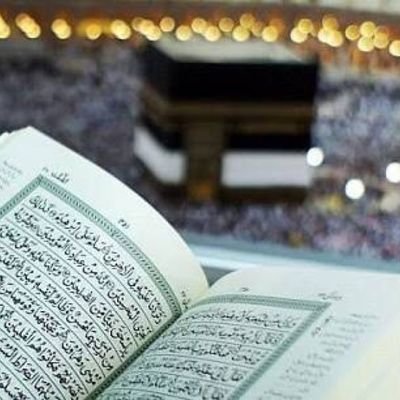 Mohamed99158302's profile picture. 