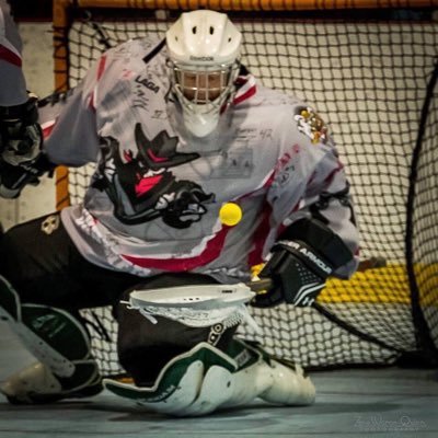 Self proclaimed goalie poet. I like to chase laser pointer dots around the living room.