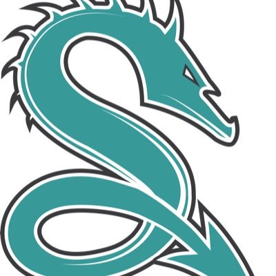 Stay up to date with our Summit Academy Dragons!