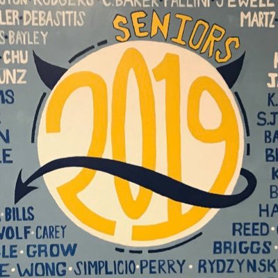 VCS2019's profile picture. run by your student council officers