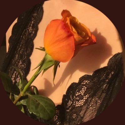 please follow @messyroses as she gave you this free follow and would love to be your mutual