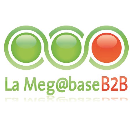 #LaMegabaseB2B, la plus puissante base de données emails BtoB ! #emailing #BtoB #digitalmarketing #marketingdirect