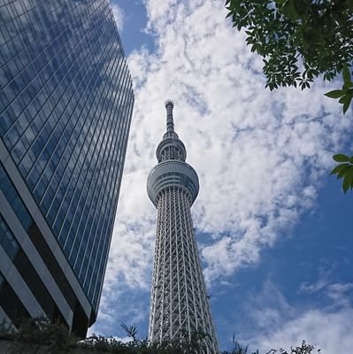 グルメ、マッサージ、ゲーム…… 一般のリフレ客(東京)な社畜です。エーペックスS12から( ´∀｀)