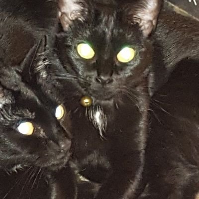 nikki241979's profile picture. 