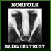 Norfolk Badgers Trust (@norfolkbadgerst) Twitter profile photo