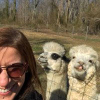 Sherri Thomas (@sherrilibrary) 's Twitter Profile Photo