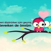 Hasan Şahin (@hasanah12649240) 's Twitter Profile