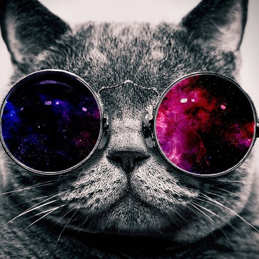 Dlton_'s profile picture. 