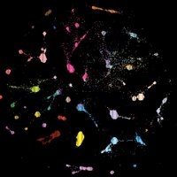 Stuart Lab (@thestuartlab) 's Twitter Profile