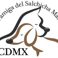 La casa del perro Salchicha CDMX(@Lacasadelsalchi) 's Twitter Profile Photo