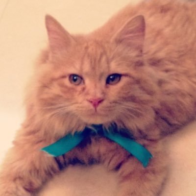 __unknown_00's profile picture. cold hearted girl..