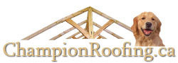 Roofing Repair Services 647-381-9600