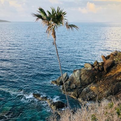 DavidCWilson's profile picture. 