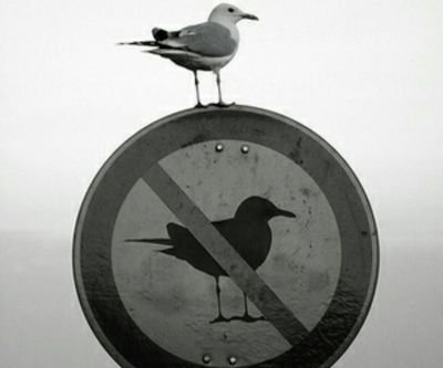 QIFbQrFTANoXfUA's profile picture. 