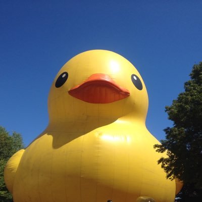 rubberduckcanuk Profile Picture