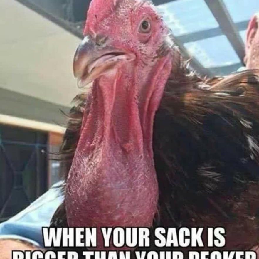 FULLYLO39154687's profile picture. WHITE MALE INTO COCK N BALLS-LEXINGTON KY.