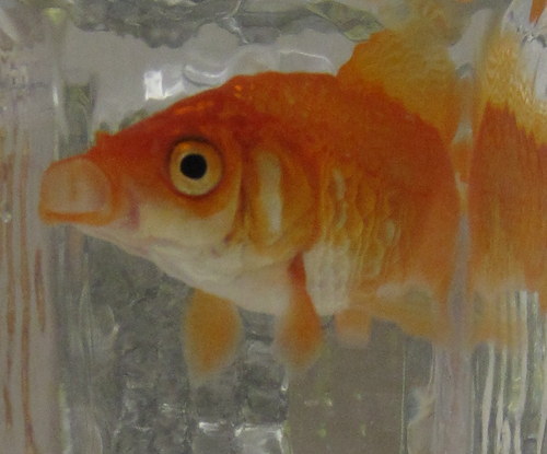 intrnoftheworld's profile picture. 