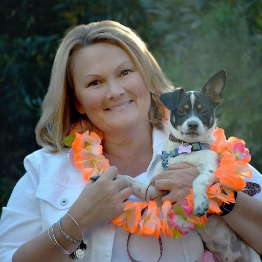sandysinden's profile picture. Helping Driven Dreamers Escape The Norm And Create New Possibilities By Transforming Their Ideas Into Online Profit.