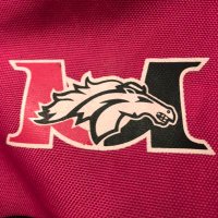 Lady Mustangs (@ladymustangsgbb) 's Twitter Profile
