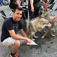 David DIAZ DIAZ (@dddiaz1980) 's Twitter Profile