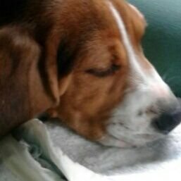 Agentad3's profile picture. 🇪🇹🇨🇵
Part-time Twitch streamer and Trader
$BTC $LTC Holder