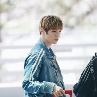 강다니엘 (@danielk_bot) 's Twitter Profile