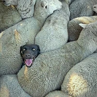 cristian_kzn's profile picture. 