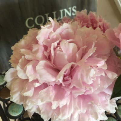 CCollins_G's profile picture. 